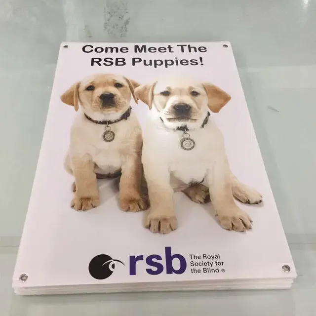 Customized Yard Sign and Coreflute Display Signs 